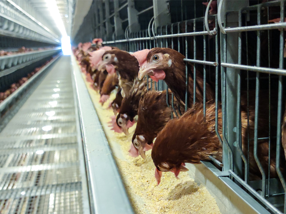 廠(chǎng)房設(shè)備